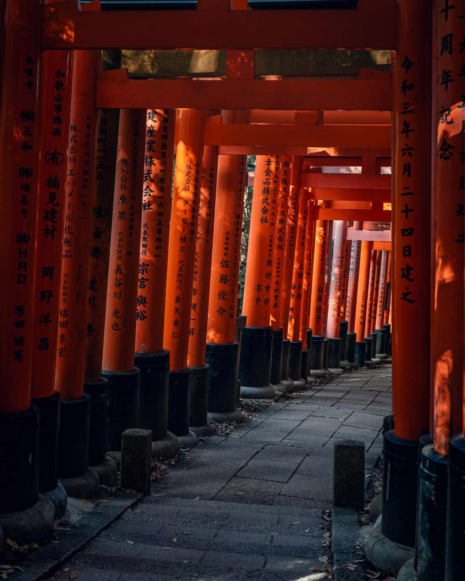 Path through rows of torii gates at Fushimi Inari, Kyoto